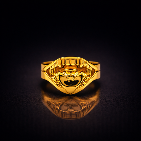 Domain Expansion Ring