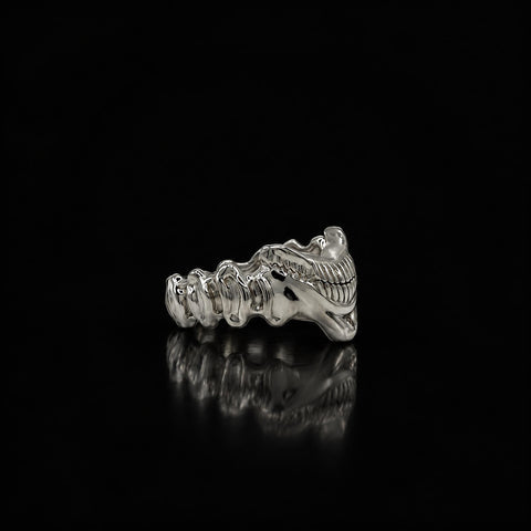 Freedom - Solid Silver Eren Yeager Inspired Ring