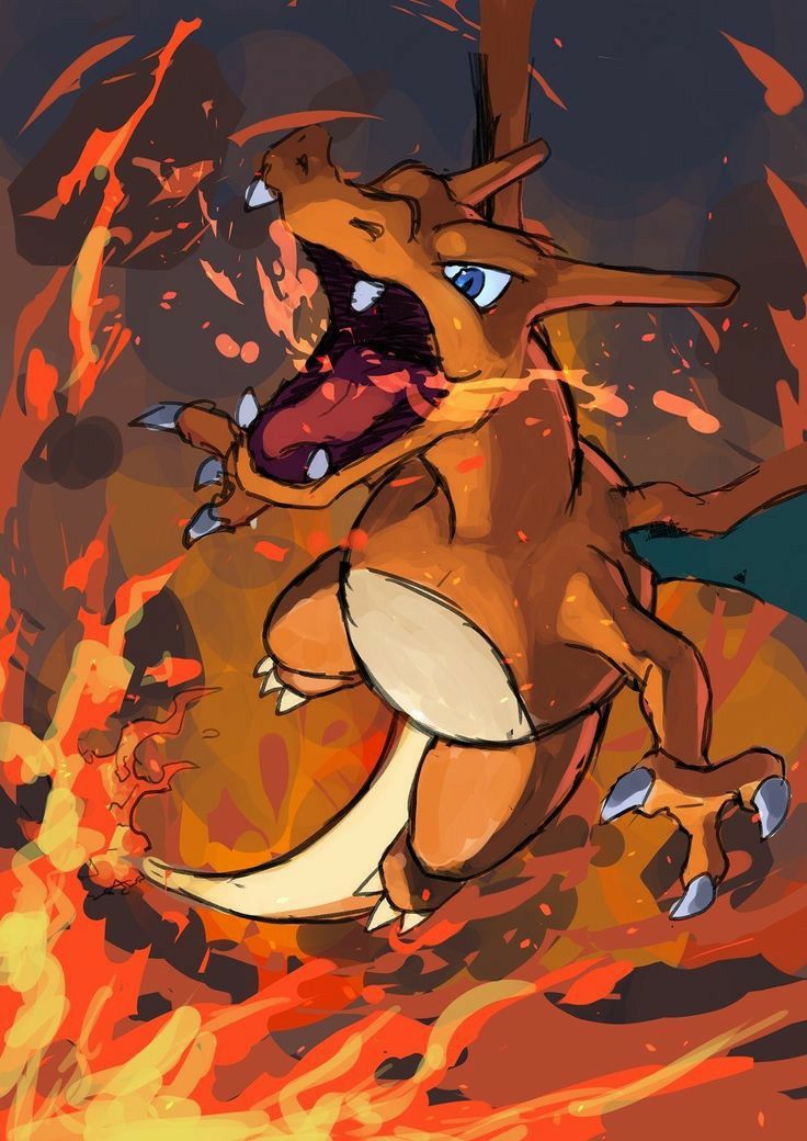 Charizard illustration